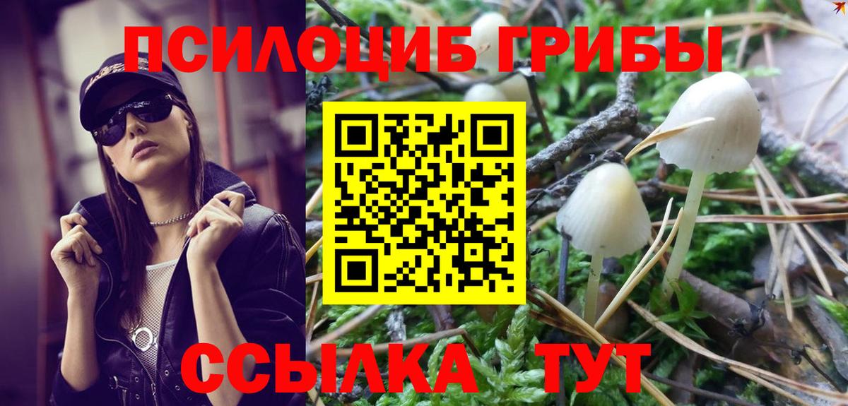 Галлюциногенные грибы Psilocybine cubensis Еманжелинск
