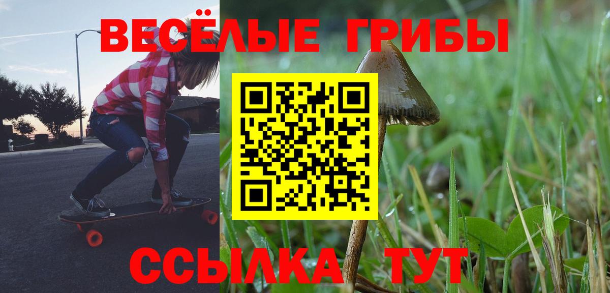 купить   Вход с VPN  Еманжелинск  Псилоцибиновые грибы GOLDEN TEACHER 