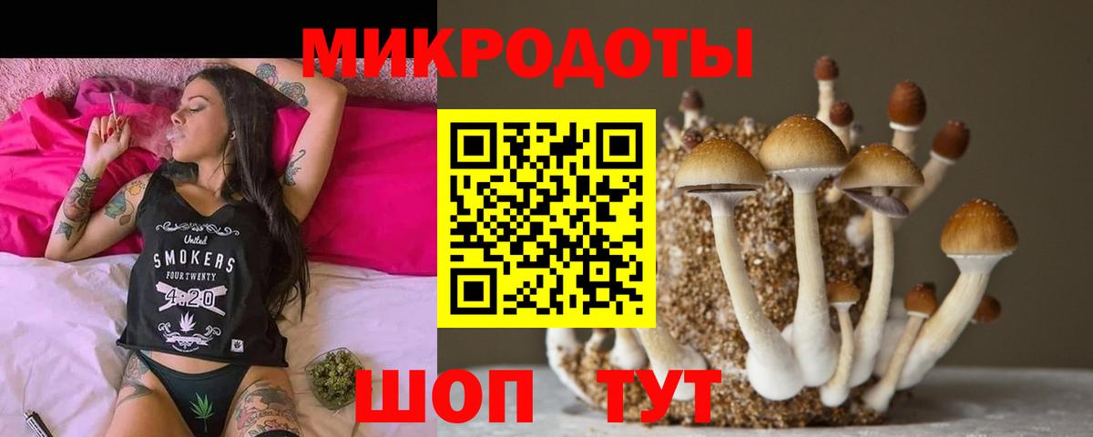 APVP Еманжелинск